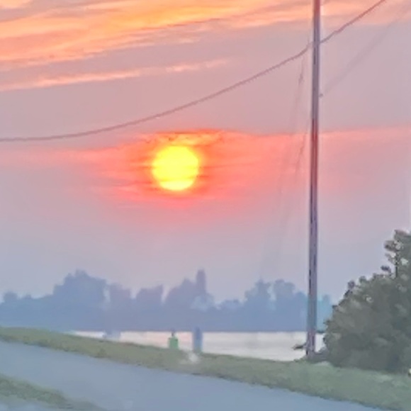 Meet your Posher, Emma - Picture 1 of 1